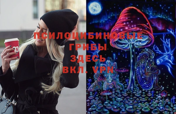 ешки Белокуриха