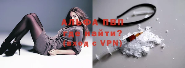 ПСИЛОЦИБИНОВЫЕ ГРИБЫ Белоозёрский