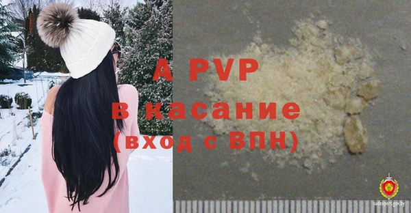 ешки Белокуриха