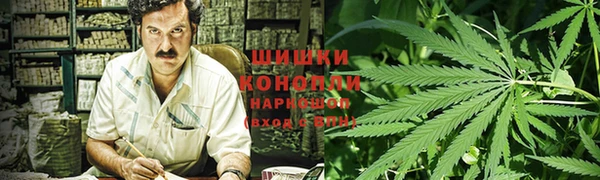 ПСИЛОЦИБИНОВЫЕ ГРИБЫ Белоозёрский