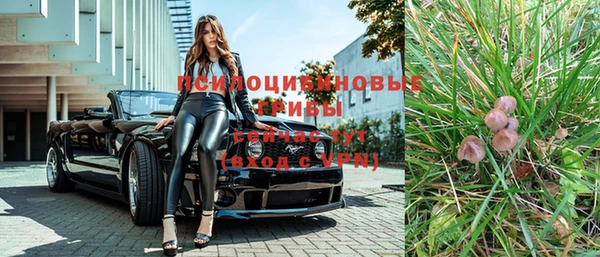 apvp Беломорск
