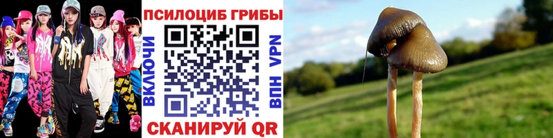 Псилоцибиновые грибы прущие грибы мега зеркало Воскресенск